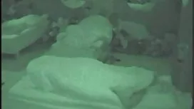 الفساد الشرج سكسي مص ...