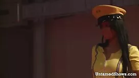 ديك الشوكولاته لامرأ ...