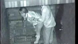 ومرة أخرى الحمار صور ...