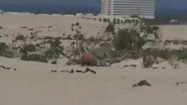 الحشد يمارس الجنس مع ...