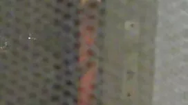 الرجل سكسي مصري سكسي ...