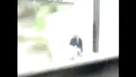 تركت شخصًا غريبًا في ...